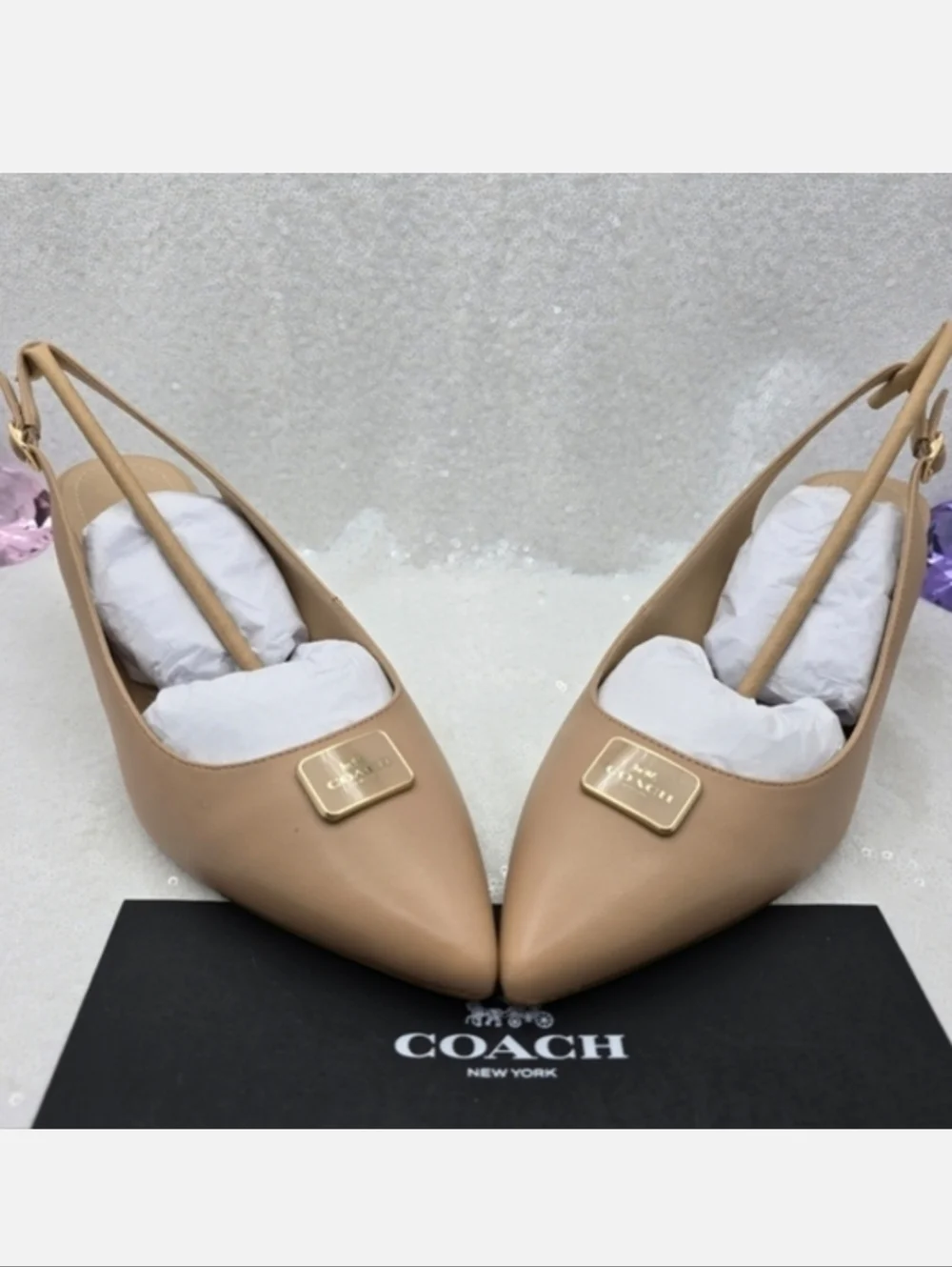 Coach Jillian Slingback Classic Closed toe Low Heel Neutral color Women's 9.5